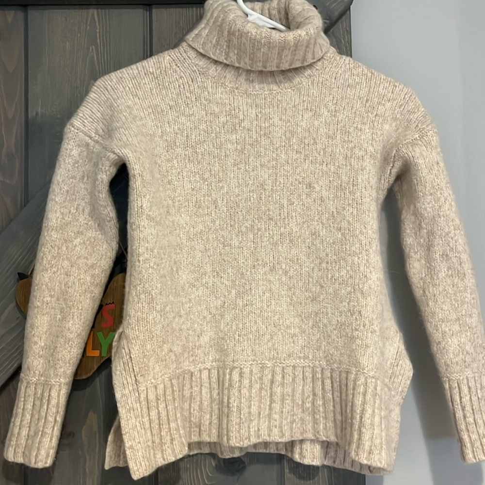 Everlane turtle next merino wool blend